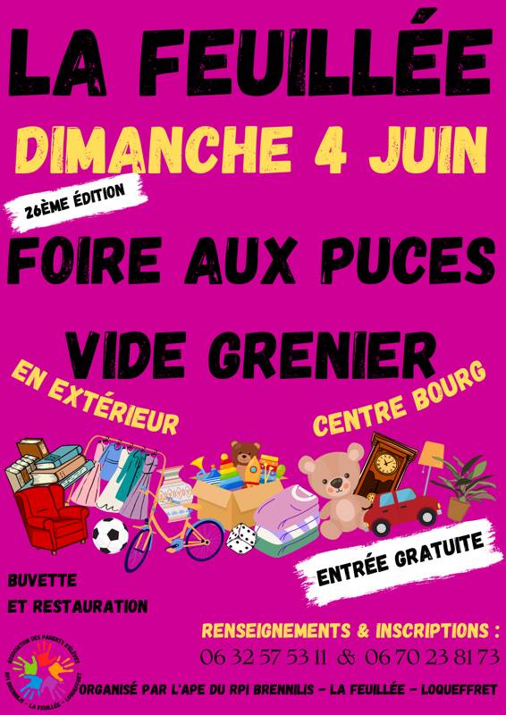 PUCES VIDE GRENIER