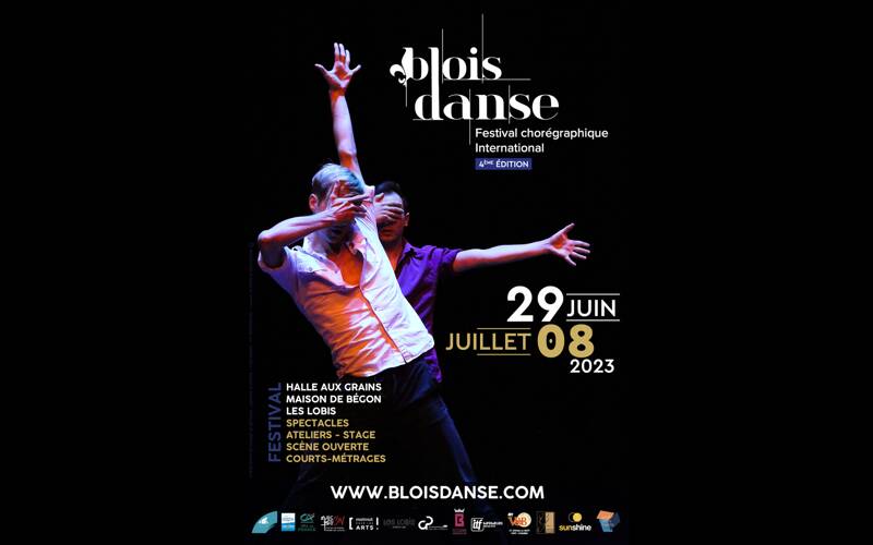 Festival Blois Danse - 4ème édition