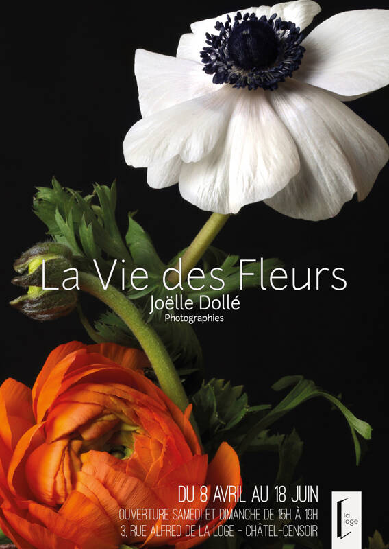 La Vie des Fleurs