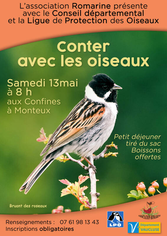 Conter avec les oiseaux