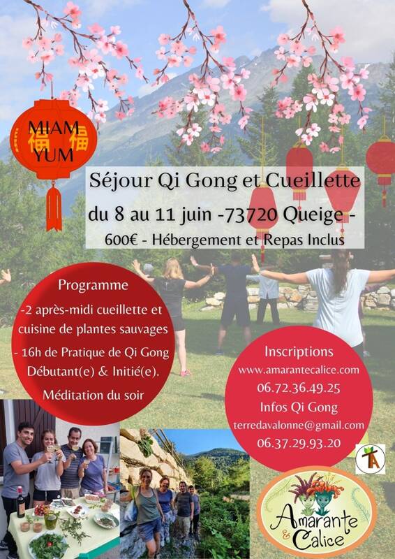 Qi Gong et Plantes Sauvages Comestibles