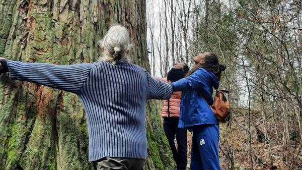 Qigong en nature