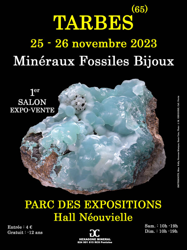 1er SALON MINERAUX FOSSILES BIJOUX