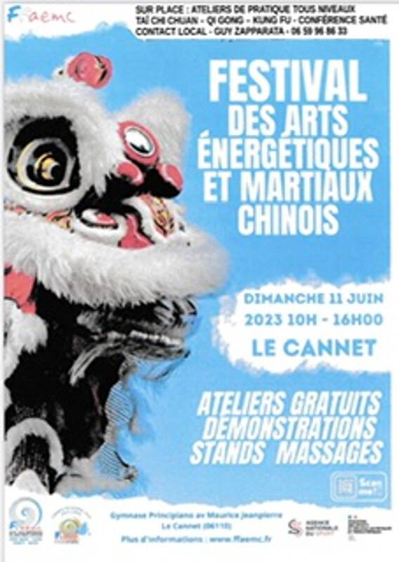 FESTIVAL DES ARTS ÉNERGÉTIQUES ET MARTIAUX CHINOIS