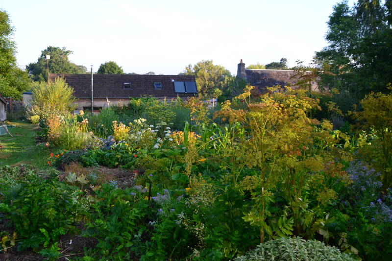 Porte-ouverte, jardin en permaculture, Idunn