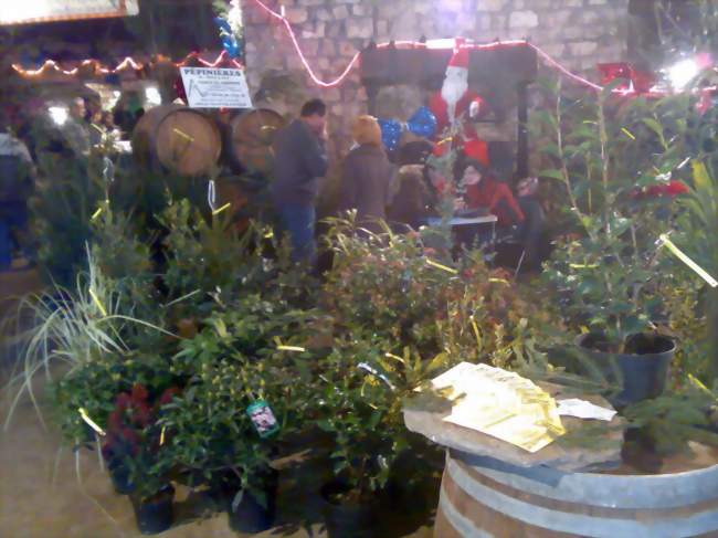 Marché de Noël aux caves de la Mignonne