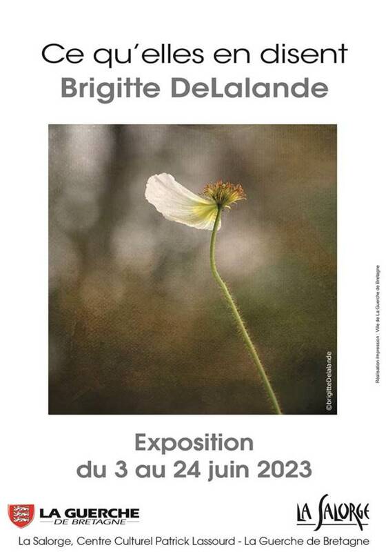 Exposition Photographique Brigitte Delalande