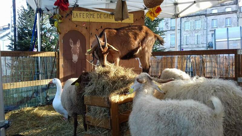 Marché Festif du 4 juin