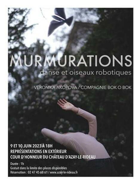 Murmurations - Danse contemporaine au château d'Azay-le-Rideau