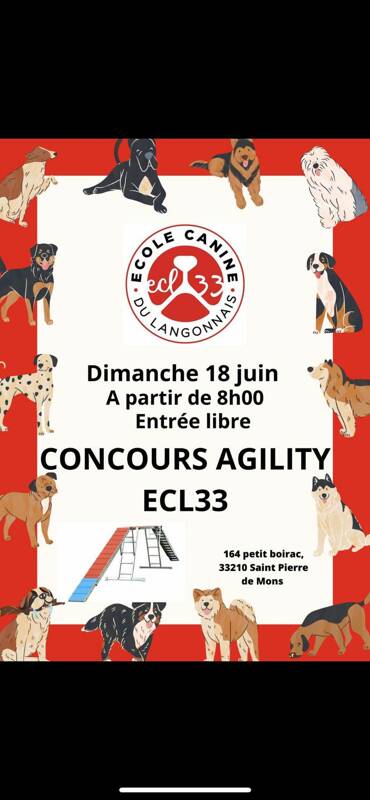 Concours canin Agility ECL33