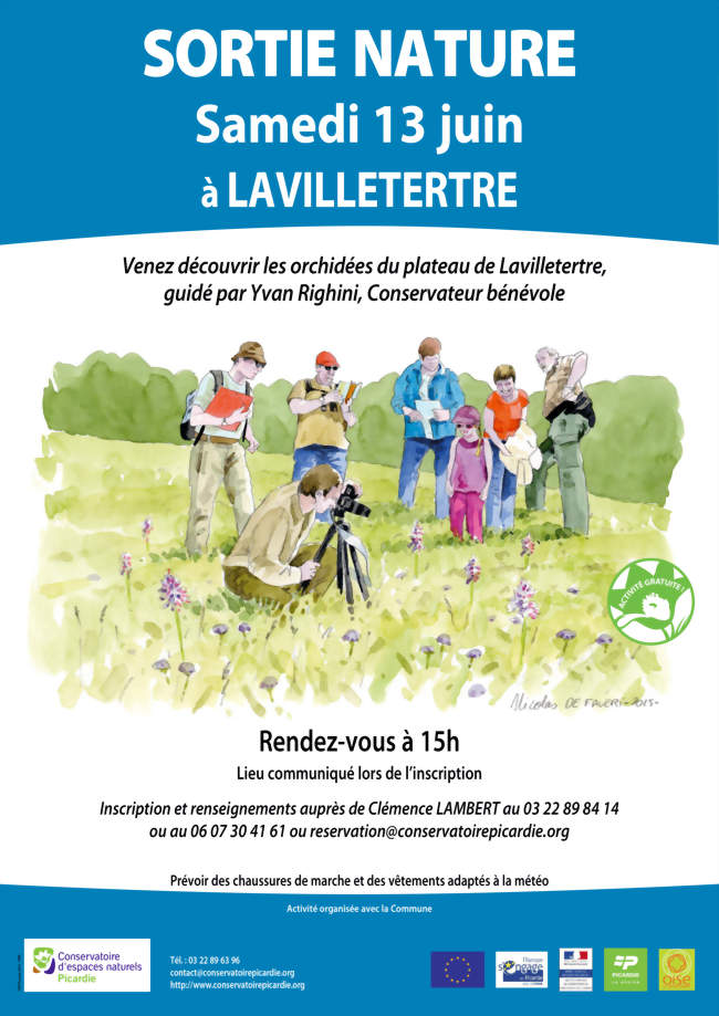 Les orchidées du plateau