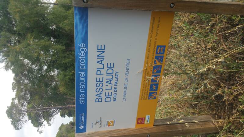 Cours de Yoga en plein air tous les samedis