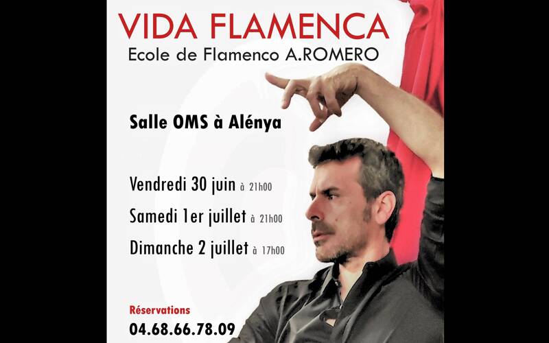 Vida Flamenca