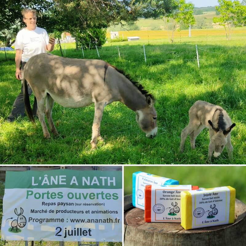Porte Ouverte à la ferme - Elevage d'ânes et savonnerie - SAGY 71