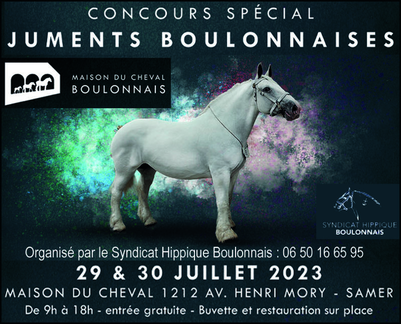110ème concours national du cheval Boulonnais