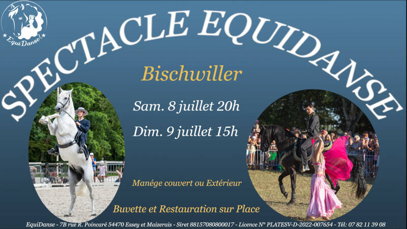 Spectacle Equestre EquiDanse