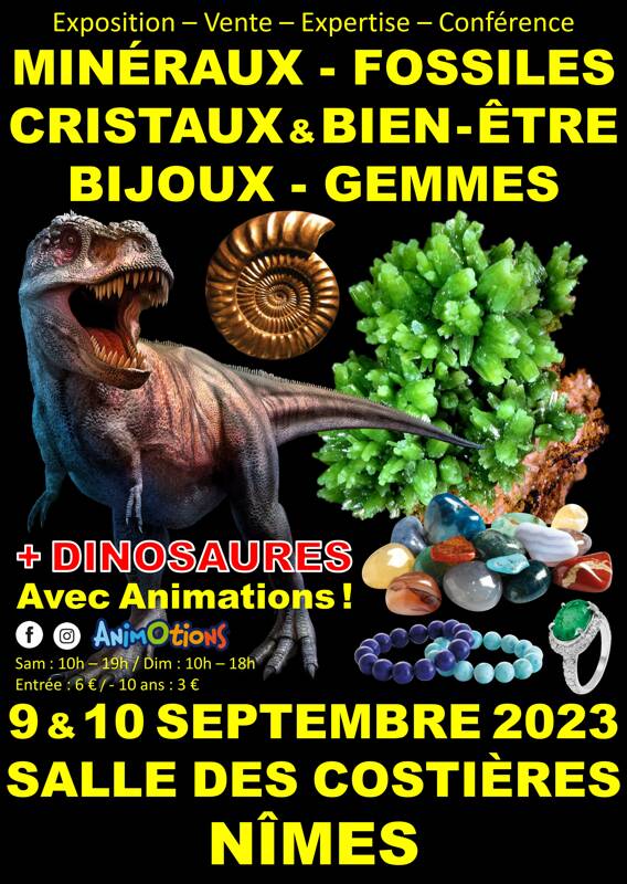 Salon Minéraux Fossiles Cristaux & Bien-Être Bijoux et Gemmes  + Exposition de Dinosaures