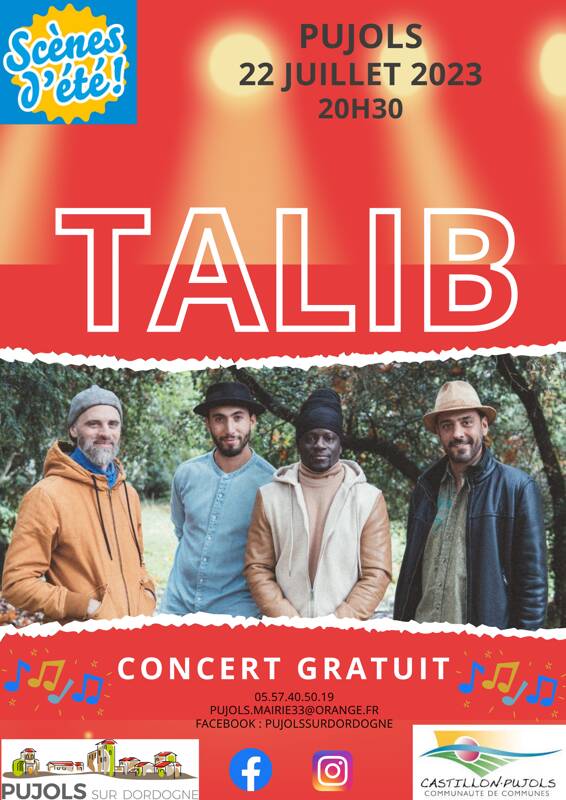 Concert scènes d'été et Marché nocturne