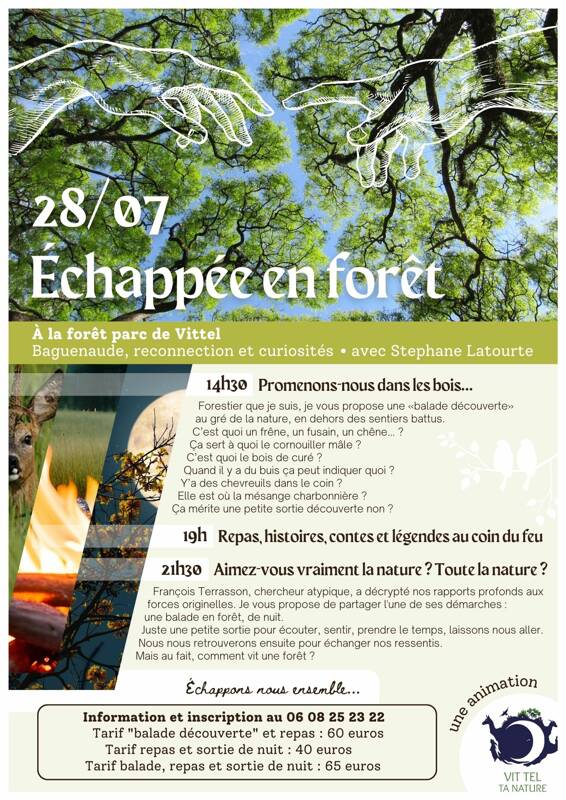 Échappée en forêt