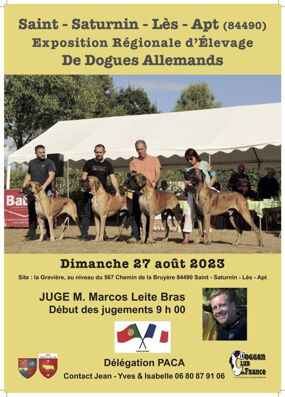 Exposition Canine de Dogue Allemand