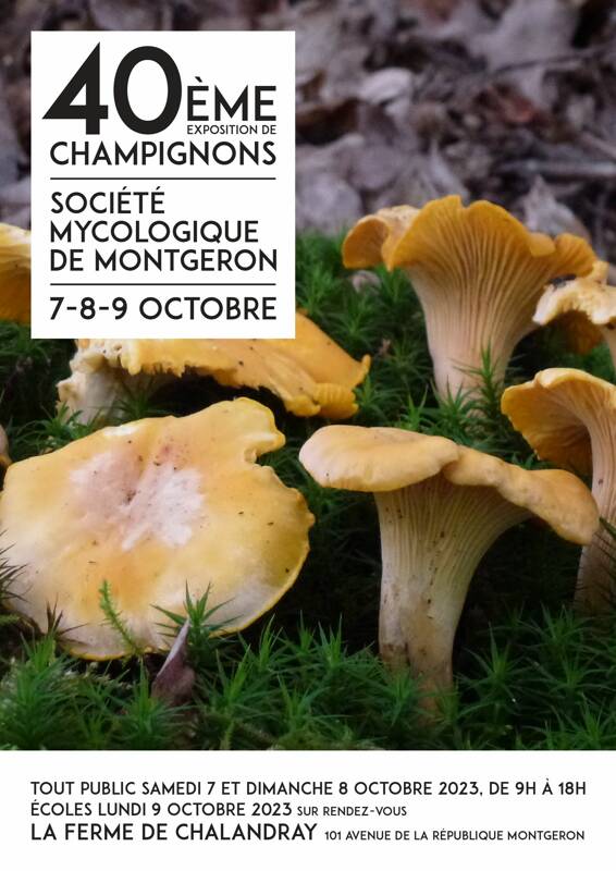 40ème Exposition de Champignons de Montgeron