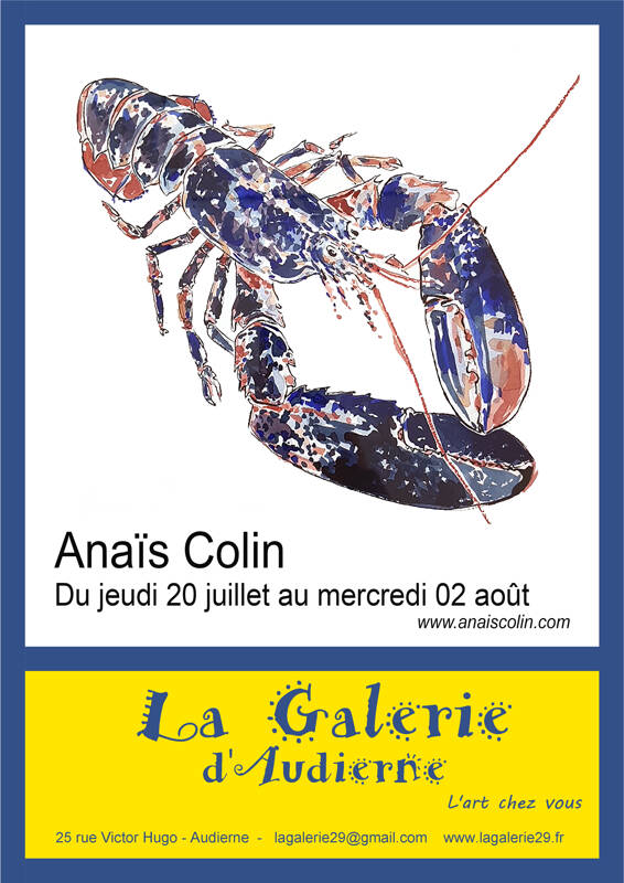 Exposition Anaïs Colin