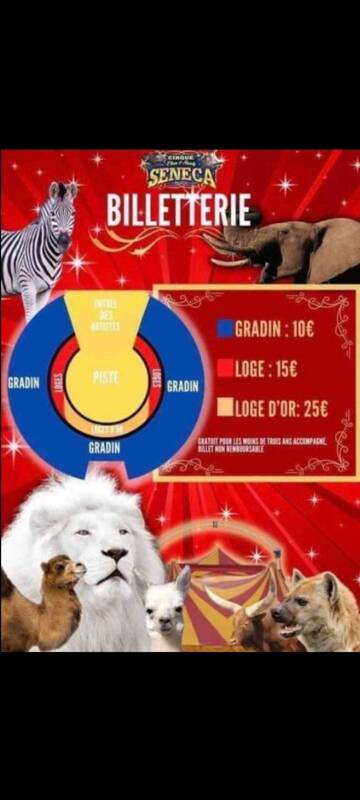 Cirque traditionnel spectacle