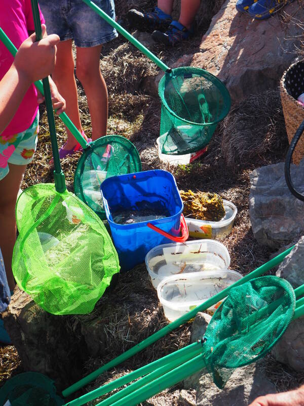 Petite pêche à l'épuisette