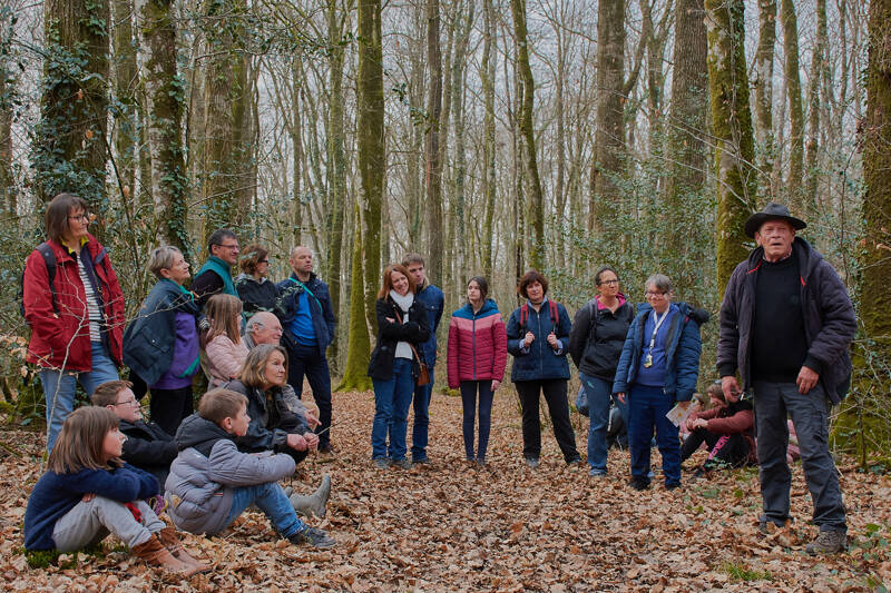 Balade contée en forêt