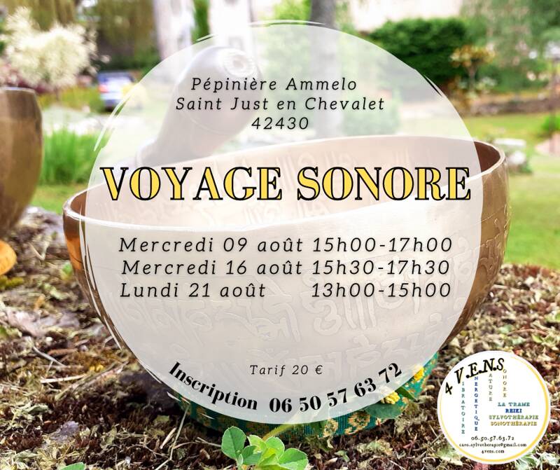 Voyage sonore