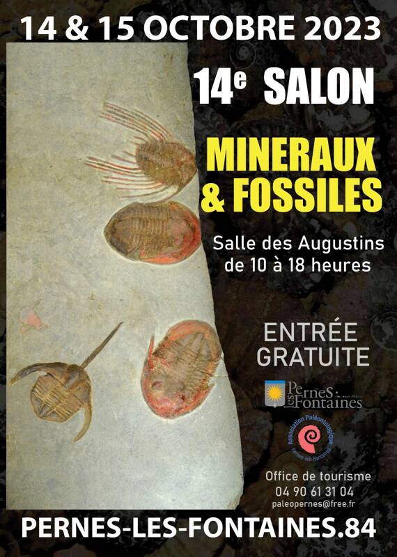 14ème Salon Minéraux et Fossiles de Pernes-les-Fontaines