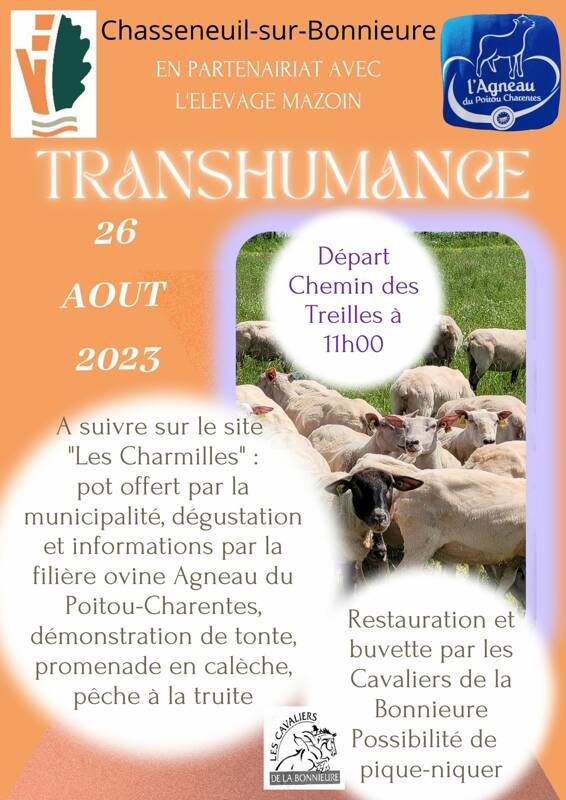 TRANSHUMANCE