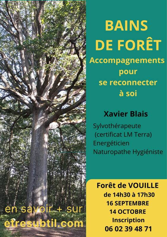 Bain de forêt - Se reconnecter à soi