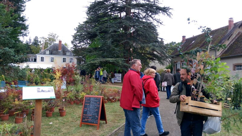 Journées de l'Arbre