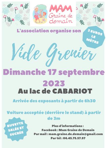 Vide Grenier