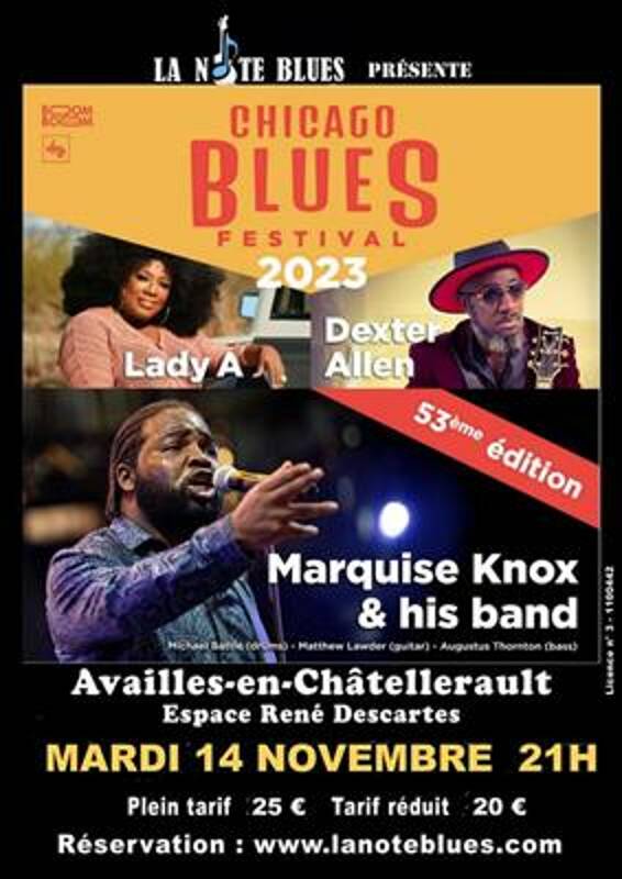 Chicago Blues Festival