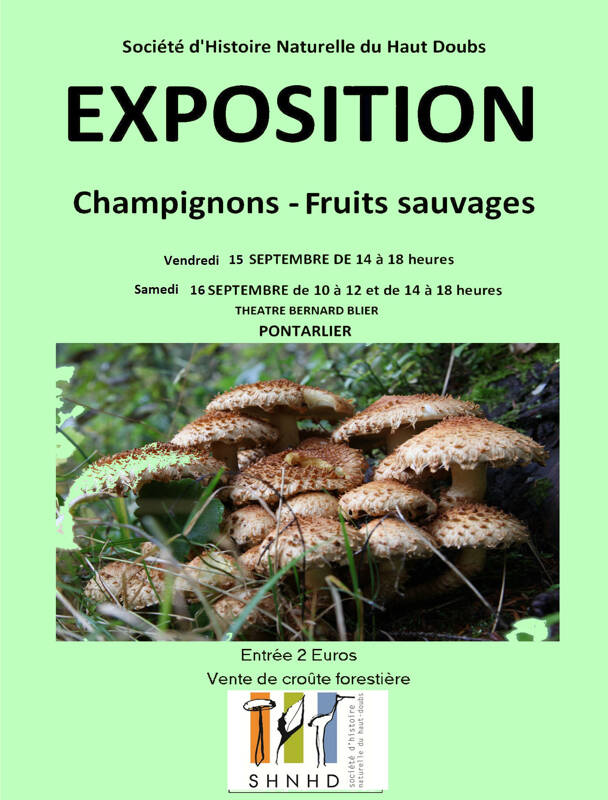 La nature en automne - champignons et fruits sauvages