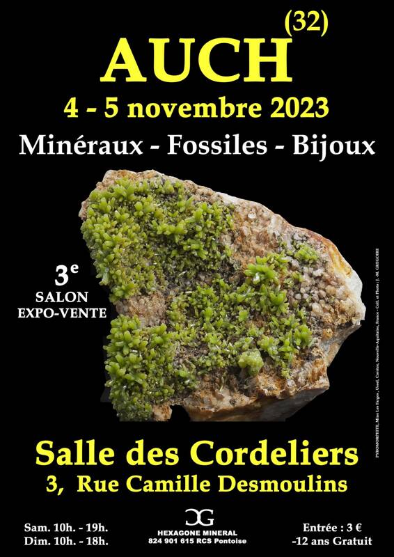 3e SALON MINERAUX FOSSILES BIJOUX de AUCH Gers)