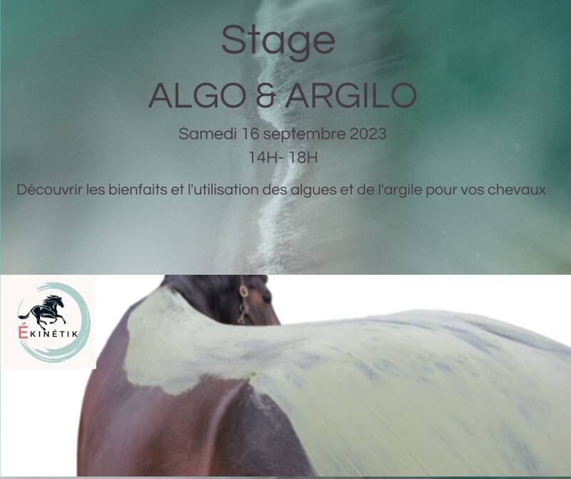 Stage Argilo & Algo pour les chevaux
