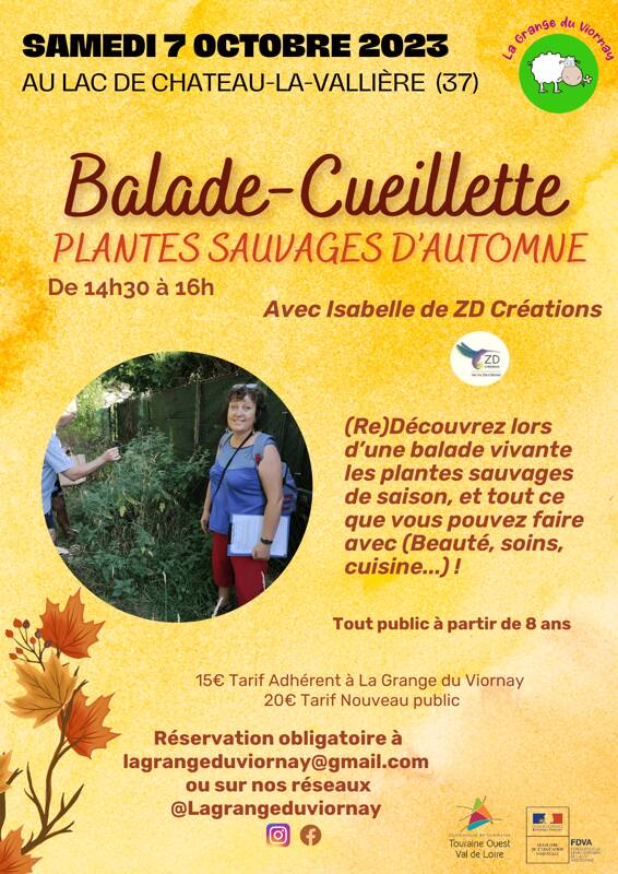 Balade-Cueillette plantes sauvages d'automne