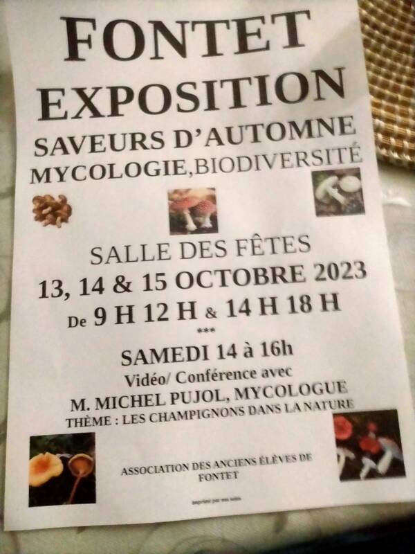 Exposition