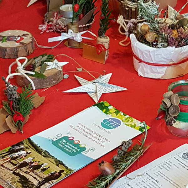 Club des Savoirs - Noel au naturel