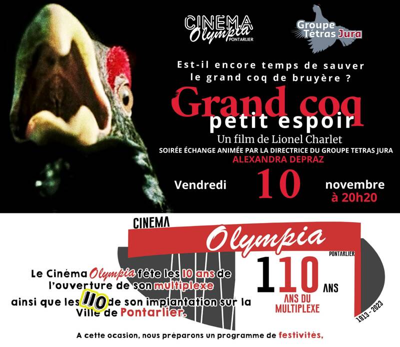 Grand Tétra : Grand coq, petit espoir