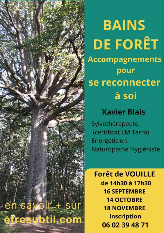 Bain de forêt