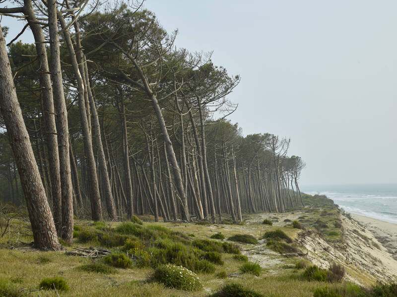 Trait de côte, Lignes de crêtes