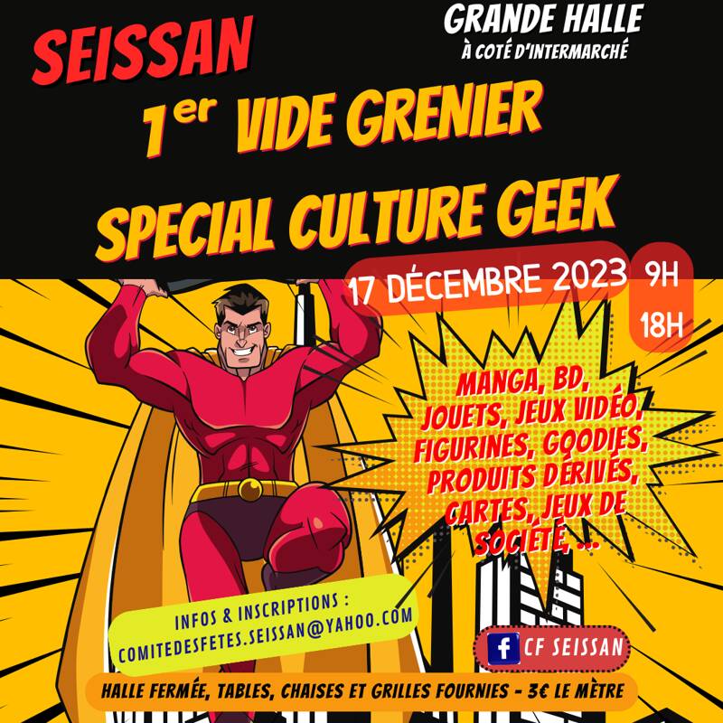 Vide Grenier Spécial Culture Geek