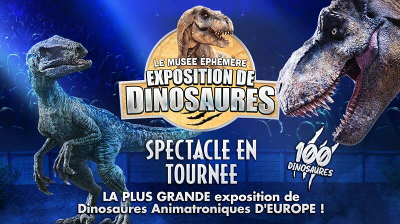 Dinosaures: Bordeaux accueille le Musée Éphémère®