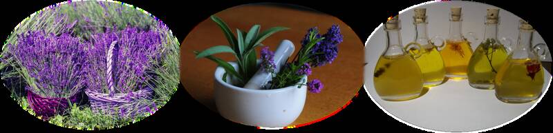 Atelier Aromathérapie