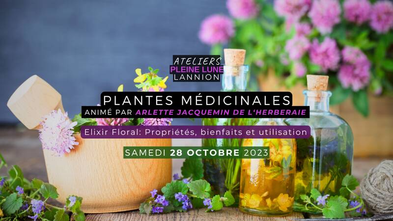 Atelier Plantes Médicinales: Elixir Floral - Propriétés, bienfaits et utilisation