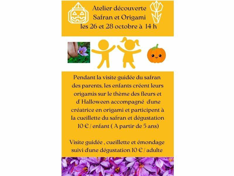 Atelier Origami et Safran